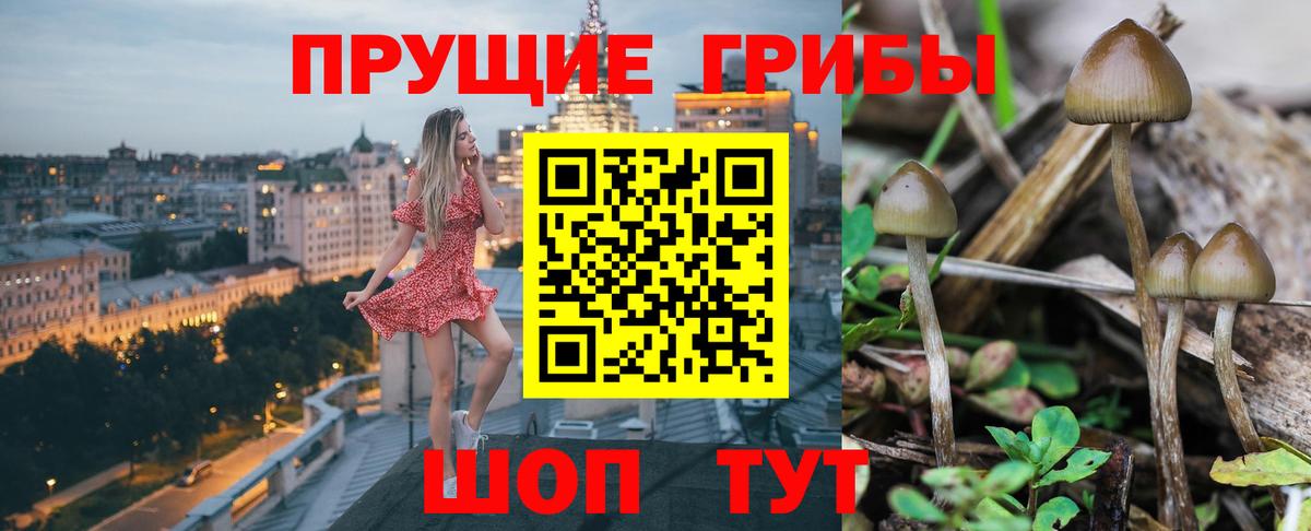 Галлюциногенные грибы прущие грибы Сальск